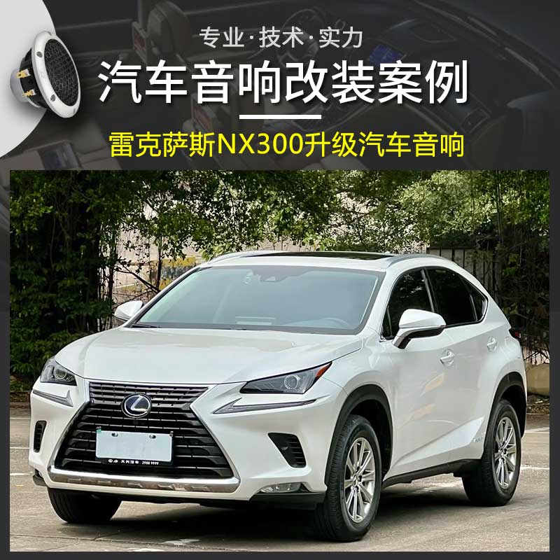 雷克萨斯NX300汽车音响升级，尽享天籁之音 —— 惠州道声汽车音响改装店专业打造